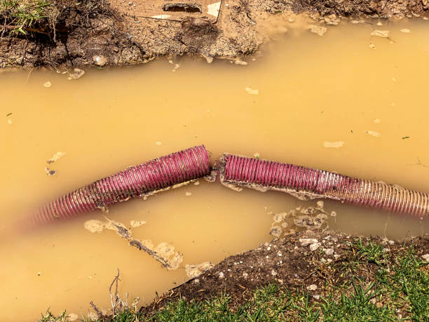 Best Water damage cleanup near me  in Fresno, TX